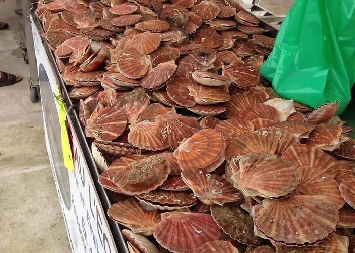 Du Vieux Puits Hotel 3*